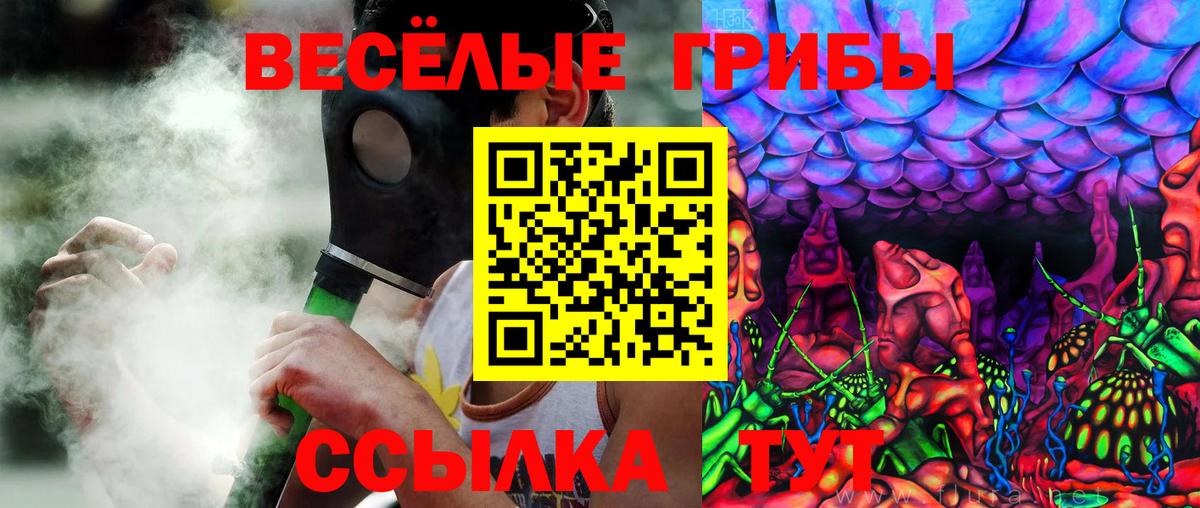 наркошоп  Галлюциногенные грибы Psilocybine cubensis  Вход с VPN  Протвино 