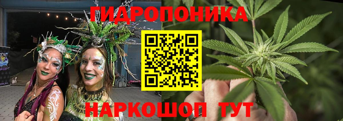 Бошки Шишки планчик  МАРИХУАНА ГИДРОПОН  Бошки Шишки тримм  Вход с VPN  Бошки Шишки AK-47  Протвино 